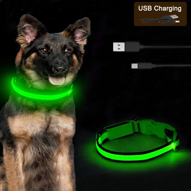Rechargeable LED Pet Collar — view 2