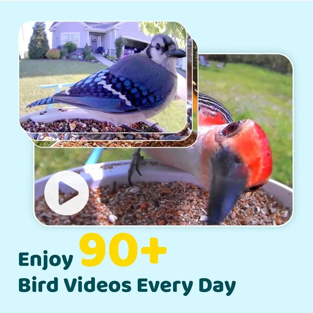 AI Bird Feeder Camera — view 3