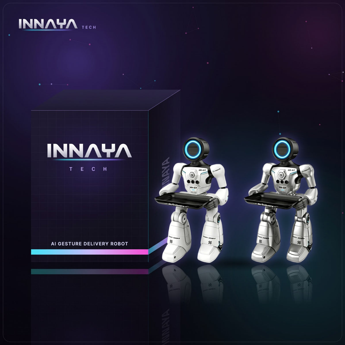 AI Gesture Delivery Robot by INNAYA Tech with INNAYA retail box