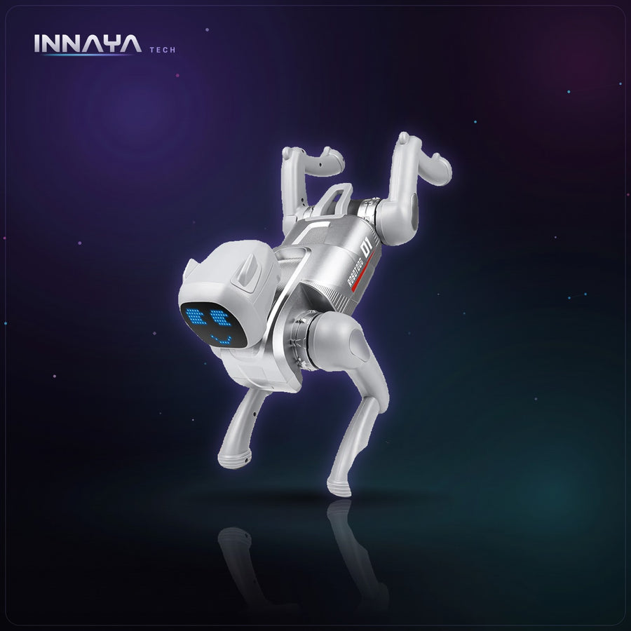 ZWN X1 AI robot dog in silver with LED face